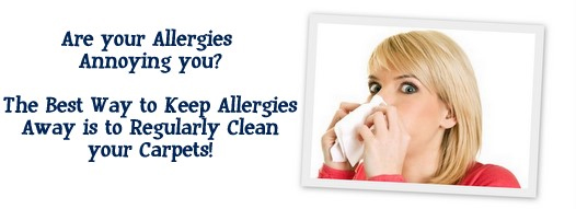 Carpet Cleaning Deer Park, NY